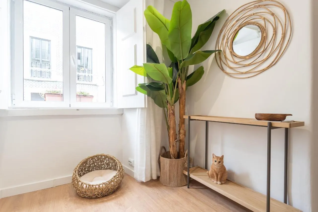 Sao Bento Cozy Apartments - By Lu Holidays Lisboa